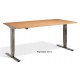 Forge Dual Motor Height Adjustable Desk